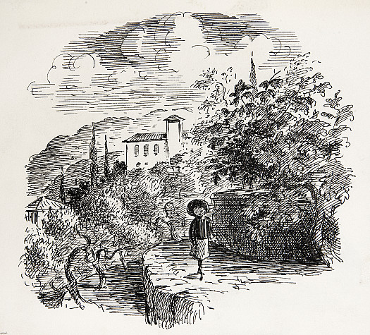 All down the hillside there were trees