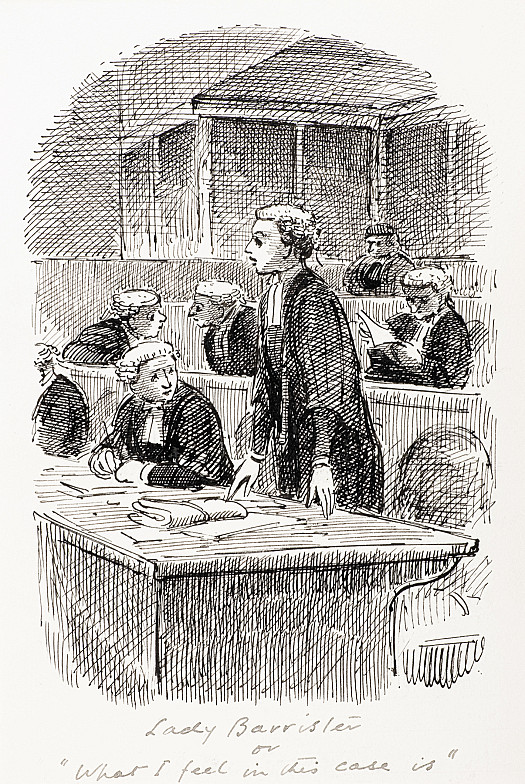 Lady Barristeror 'What I really feel in this case is'