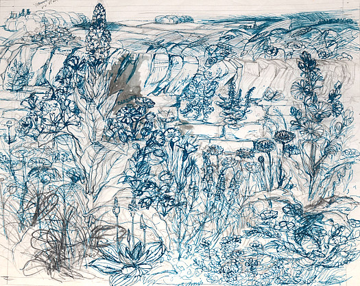 The Hedgerows &ndash; August in the Cotswolds