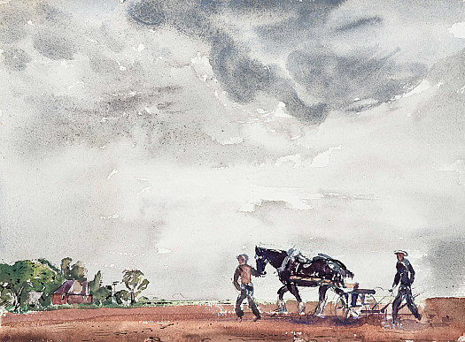 Marking a Field for Cabbage Planting