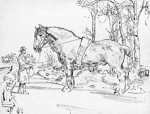 The Travelling Stallion