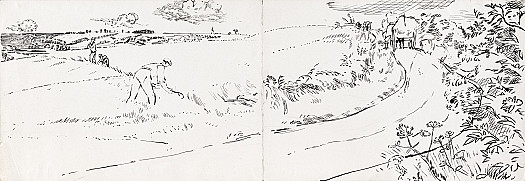 On Bedlow Ridge'Opening' a Cornfield