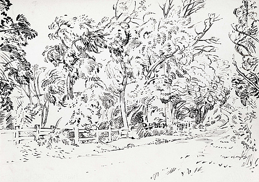 Great Tew I 'Tree-Canopied Lanes'