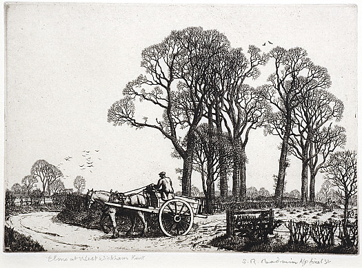 Elms at West Wickham