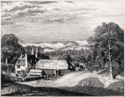 Evening Light, near Sevenoaks, Kent