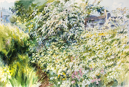 The Path to the River - Harmby