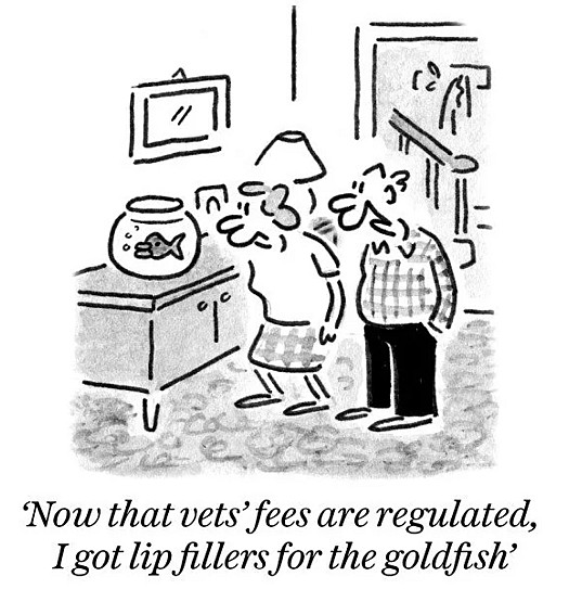 Now that vets' fees are regulated, I got lip fillers for the goldfish