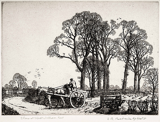 Elms at West Wickham