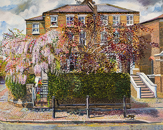 Wysteria on an Islington Street Corner