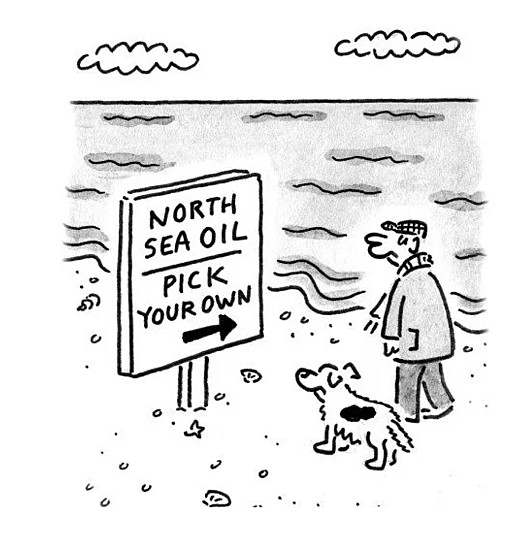 North Sea Oil Pick Your Own