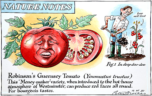 Robinson's Guernsey Tomato (Youmustus Trustus)
