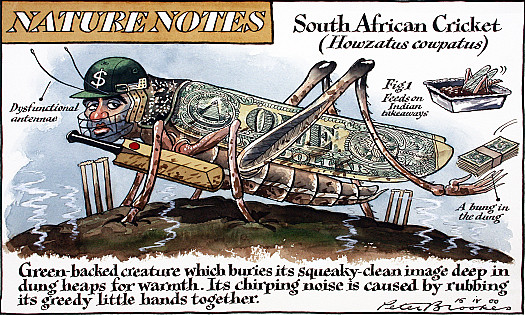 South African Cricket (Howzatus Cowpatus)