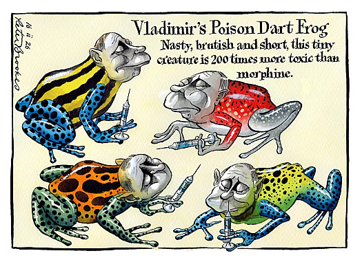 Vladimir's Poison Dart FrogNasty, brutish and short, this tiny creature is 200 times more toxic than morphine.