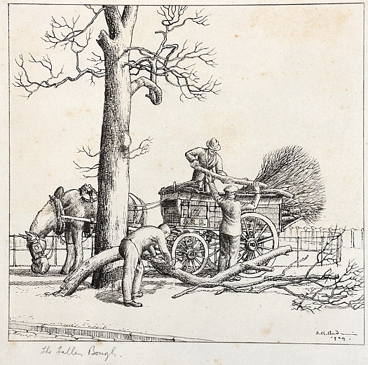 The Fallen Bough in Hyde Park, London