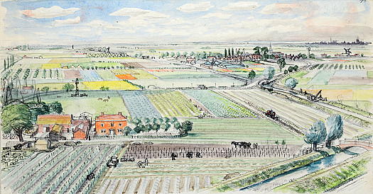 Typical Lincolnshire Fen FarmlandLettuce, Cabbage, Potatoes and Other Market Garden Crops Are Being Grown. Tomatoes Are Being Planted Out and Straw Is Being Put Round the Strawberries. Some Crops Are Being Hurried Up under Cloches. Small Orchards and Bulb Fields Can Be Seen