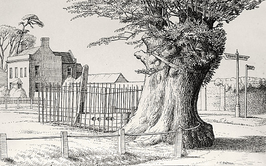 Havering-Atte-Bower (Village Stocks)