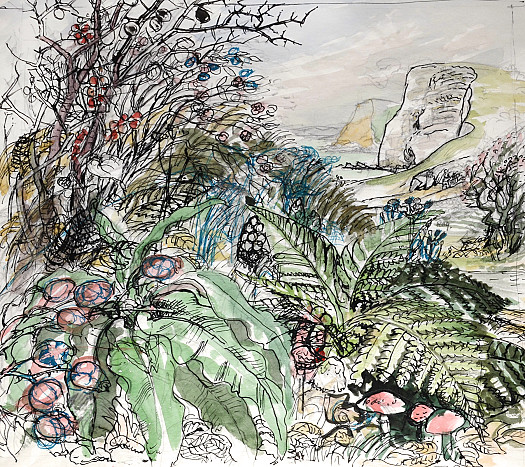 The Hedgerows &ndash; November on the Dorset Coast