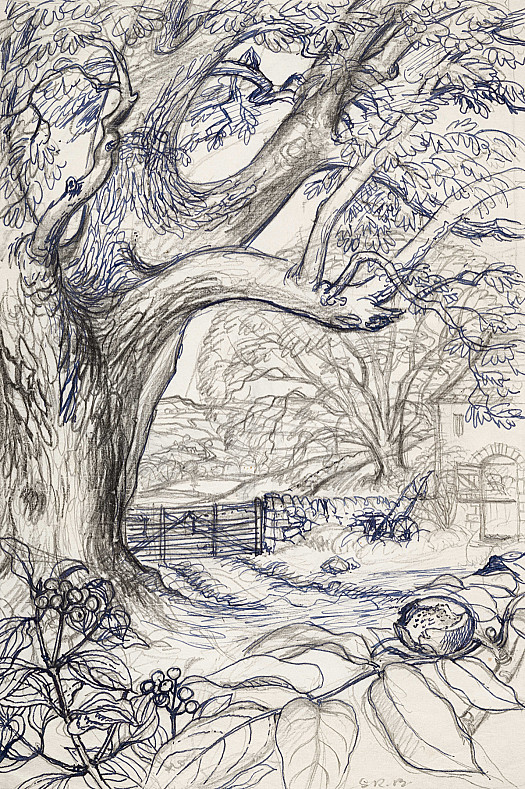 Walnut &amp; Dogwood