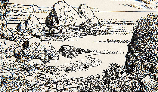 Rocky ShoreOffshore Waters, Rocks, and Rock-Pools In Cornwall