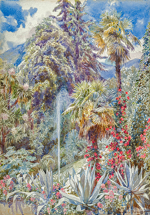 Study of an exotic garden with water fountain