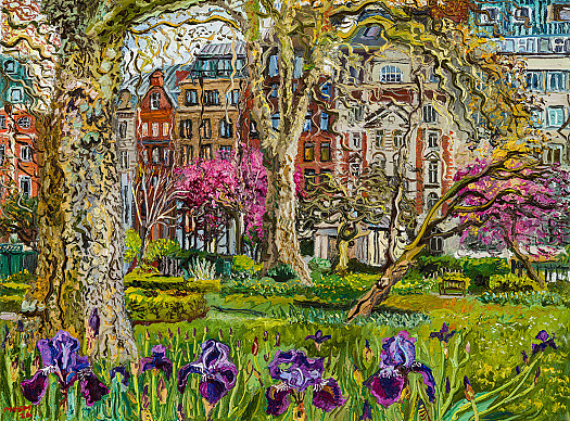 St James's Square, Irises in Spring