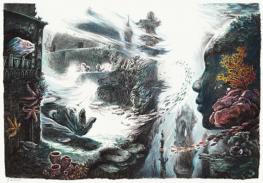 Underwater Expedition