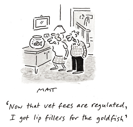 Now that vets' fees are regulated, I got lip fillers for the goldfish