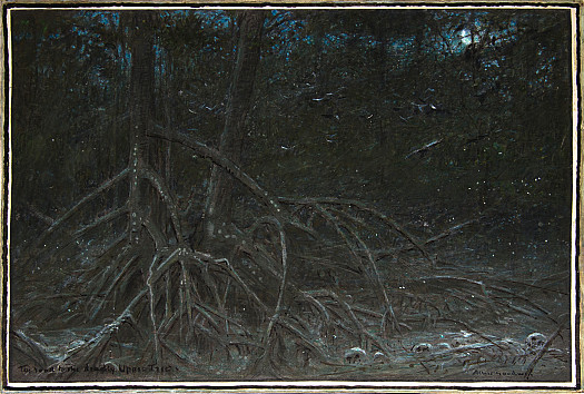 The Road to the Deadly Upas Tree