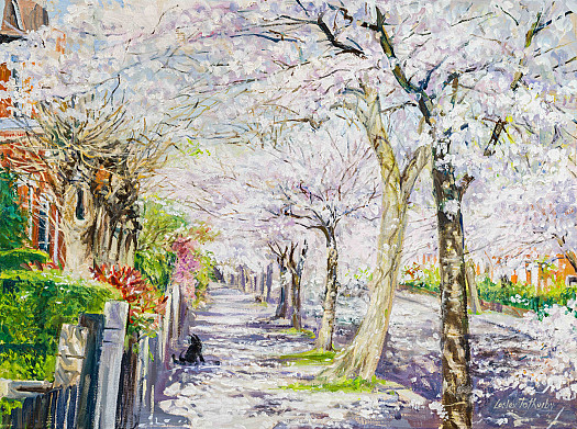 Cherry Blossom, Herne Hill