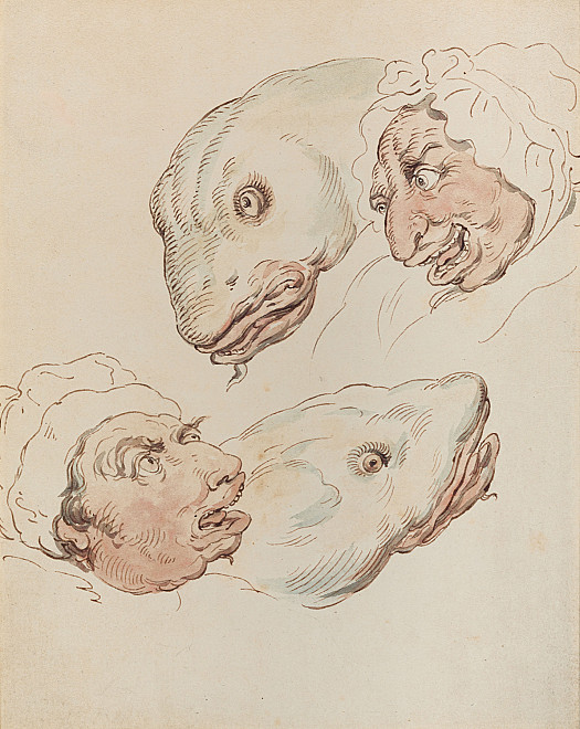 Physiognomic Portraits: Man and Woman into fish