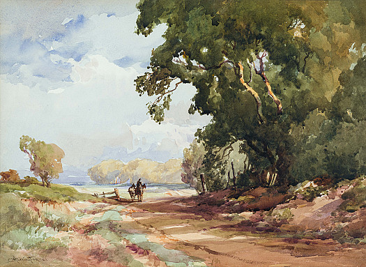Horses on a wooded path