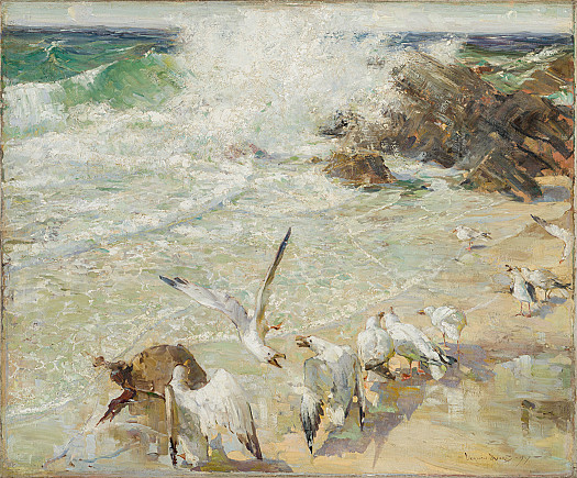 Seagulls On the Beach