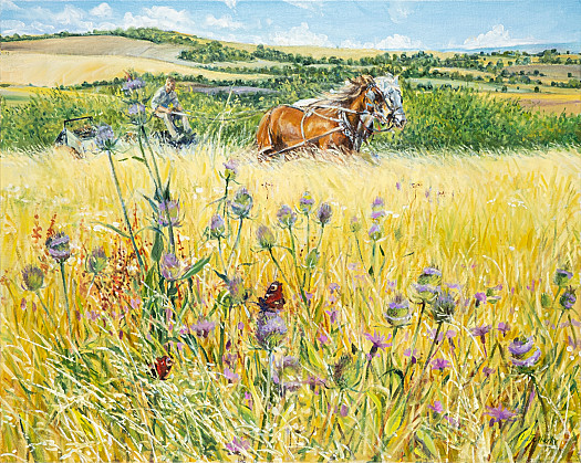 Horses and Teasel