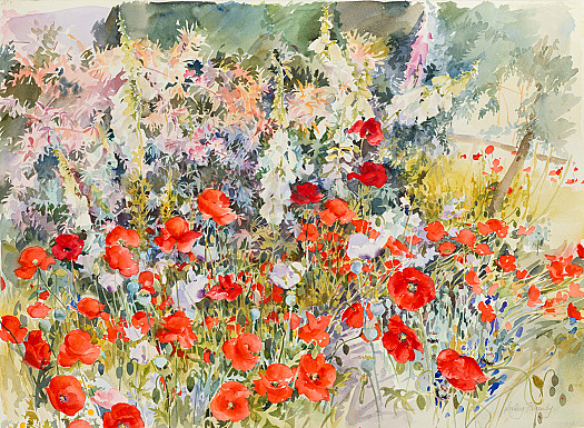 June Poppies