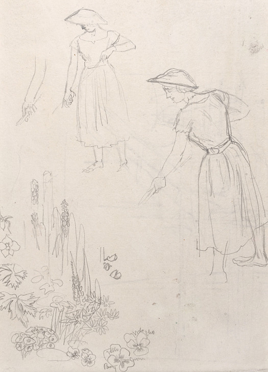 Study For 'Corner of the Greenhouse'