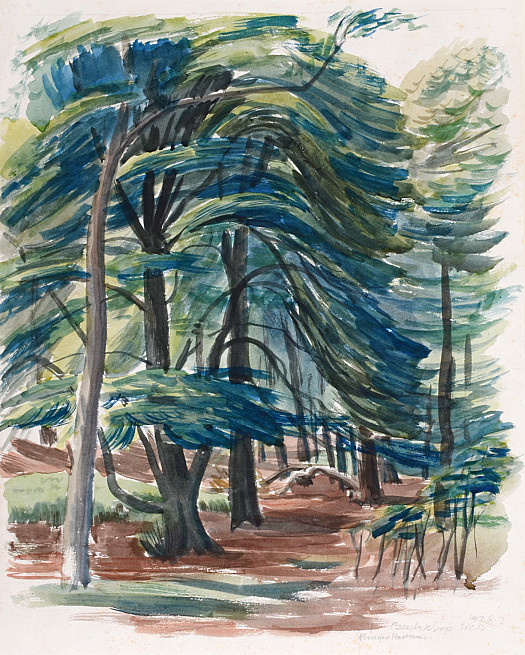 Beech Woods, Abinger Hammer