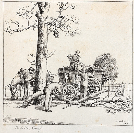 The Fallen Bough in Hyde Park, London