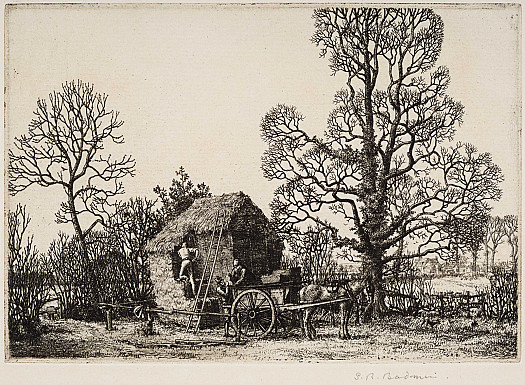 The Field Corner