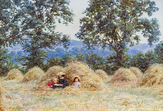 In the Hayfield