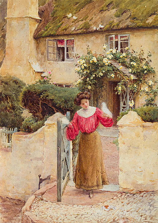 Feeding Doves