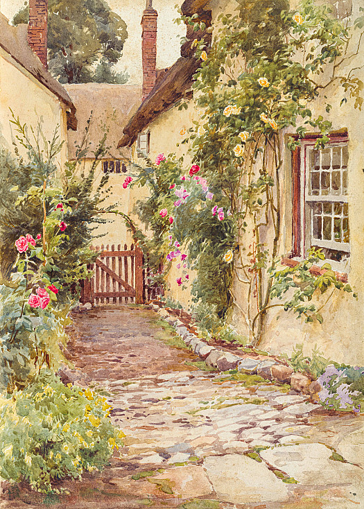 Climbing Roses
