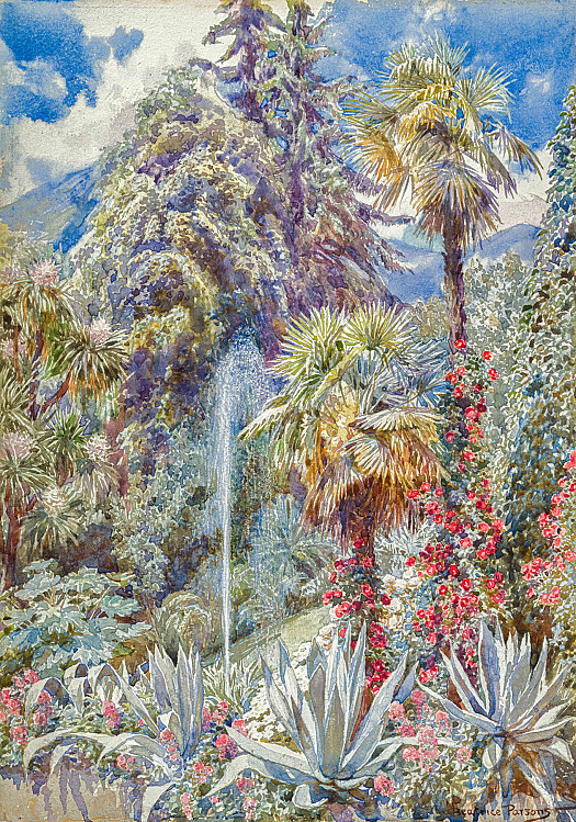 Study of an exotic garden with water fountain