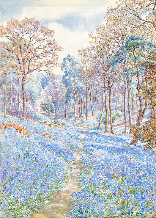 Bluebells, Scadbury Park, Chislehurst