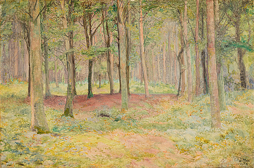 Bodvaen Woods