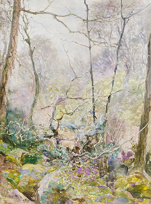 A Woodland