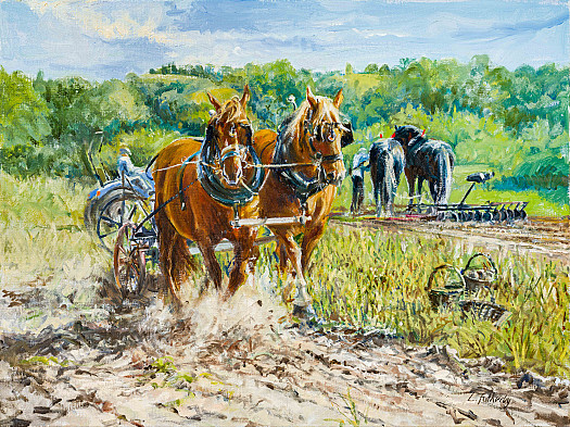 Working Horses, Gressenhall, September