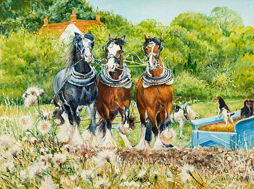 Horses and Curious Dog