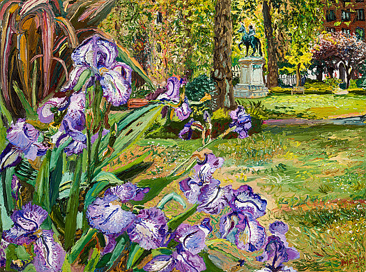 Irises in May, St James's Square
