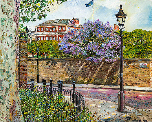 Ceanothus Tree, Marlborough Road