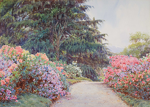 Villa Carlotta Gardens, Lake Como